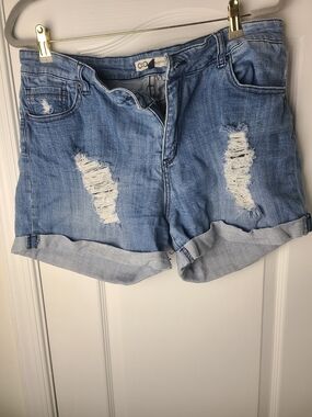 Light Blue Distressed Denim Shorts | Size 1X